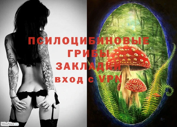 гидропоника Беломорск