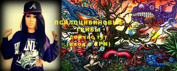 кокаин Белокуриха