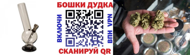 Конопля гибрид  Сковородино 
